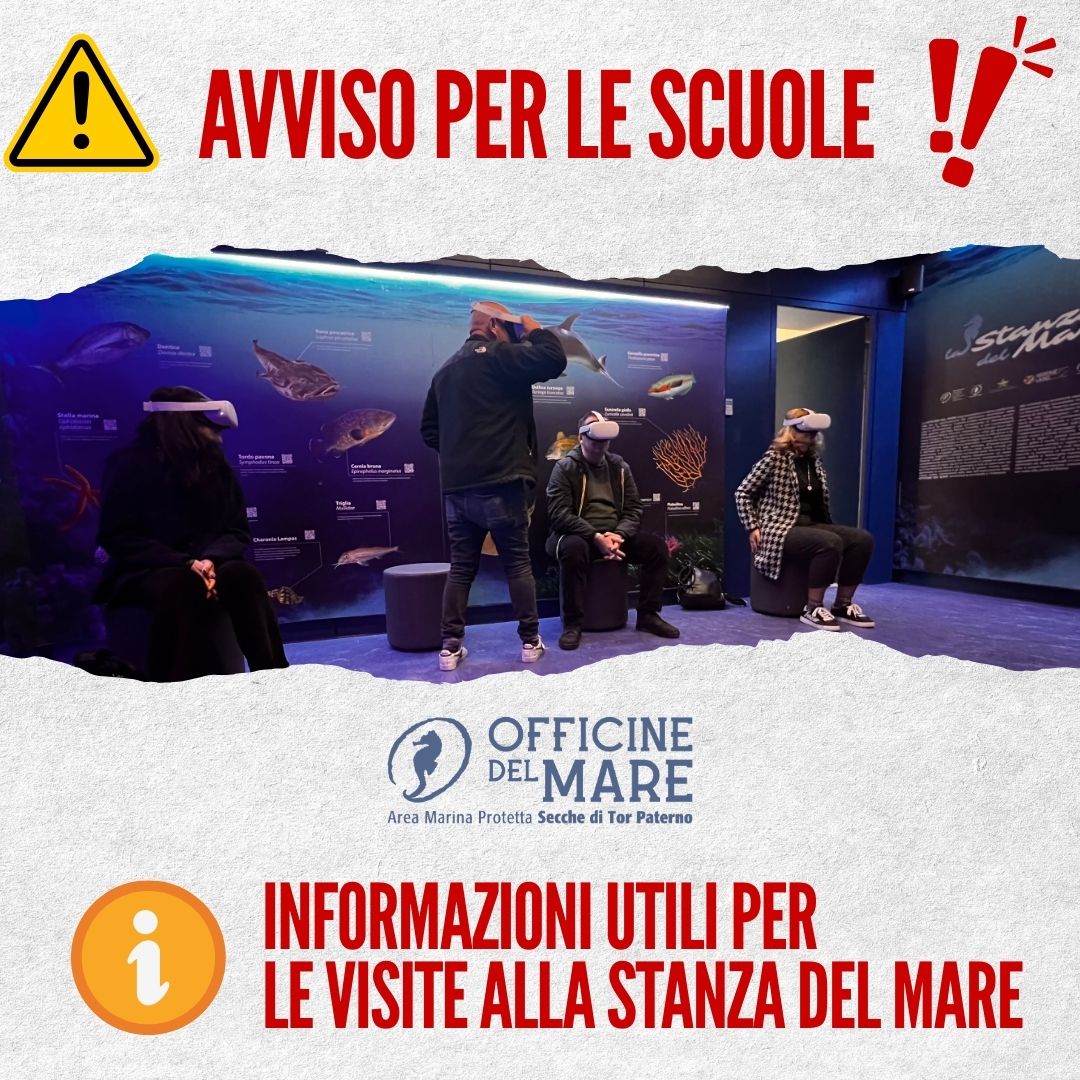 Avviso per le Scuole - Informazioni per Visite alla Stanza del Mare