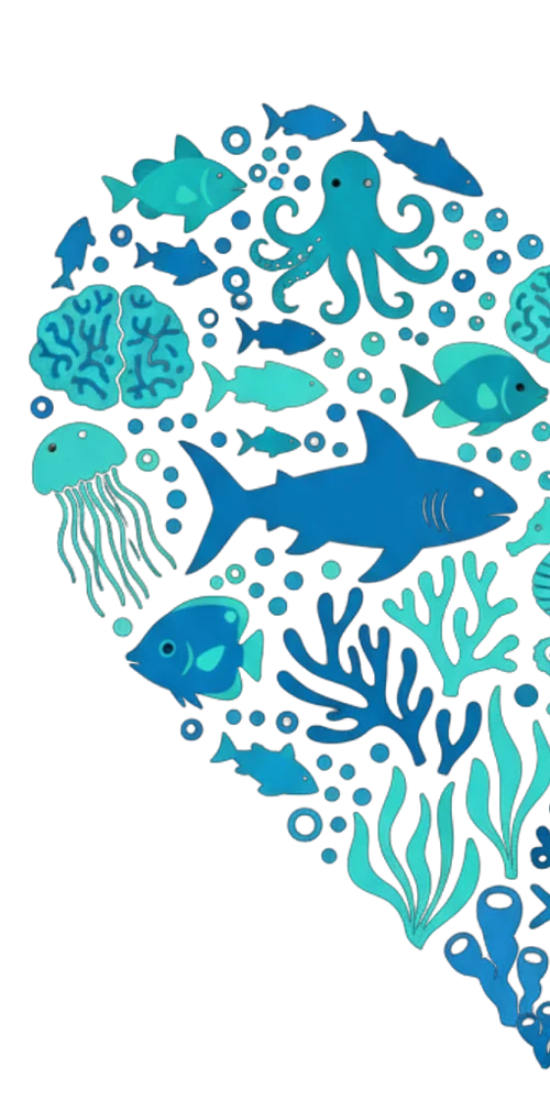 AMP Secche Tor Paterno