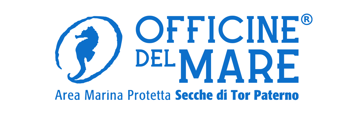 AMP Secche di Tor Paterno