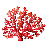 logo-corallo-studi-scientifici
