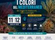 eventi-officine-del-mare-romanatura-11-12-luglio-26-