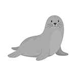 logo-foca-monaca-studi-scientifici