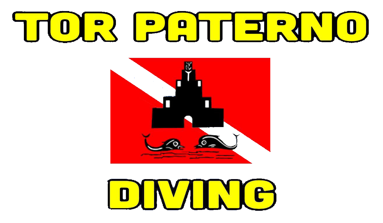 Logo-Tor-Paterno